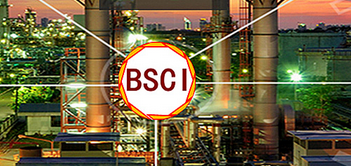 深圳BSCI驗廠已經(jīng)在深圳的出口企業(yè)當中普及