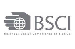 深圳BSCI驗廠主要通過兩種方式推行
