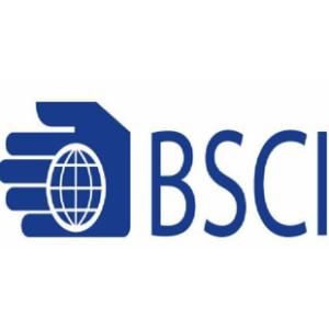 公司都想了解的深圳BSCI驗(yàn)廠審核內(nèi)容