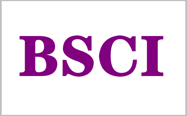 BSCI驗(yàn)廠常見問題