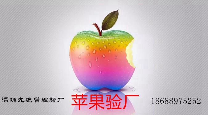 蘋果驗廠