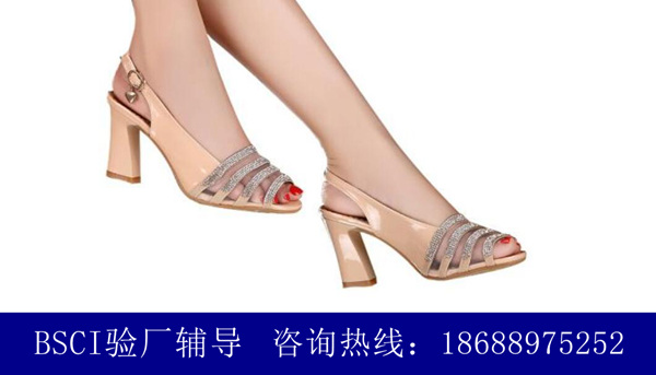 BSCI驗廠