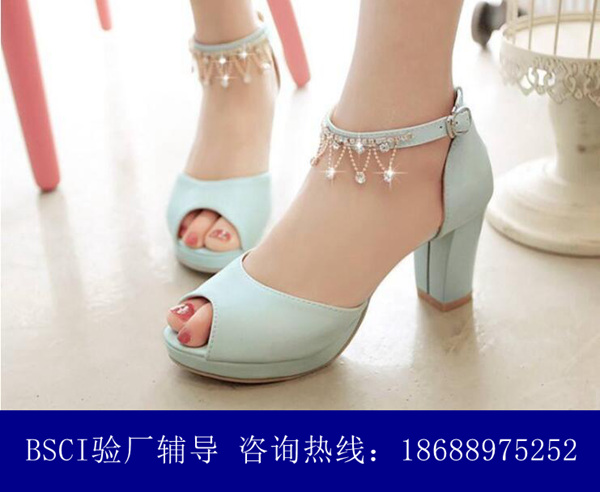 BSCI驗廠